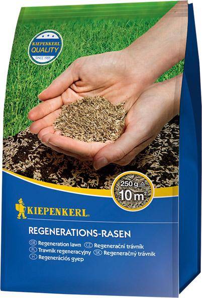 Rasensamen Regenerations-Rasen 250gr. Kiepenkerl