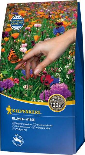 Rasensamen Blumen-Wiese 1 kg Kiepenkerl